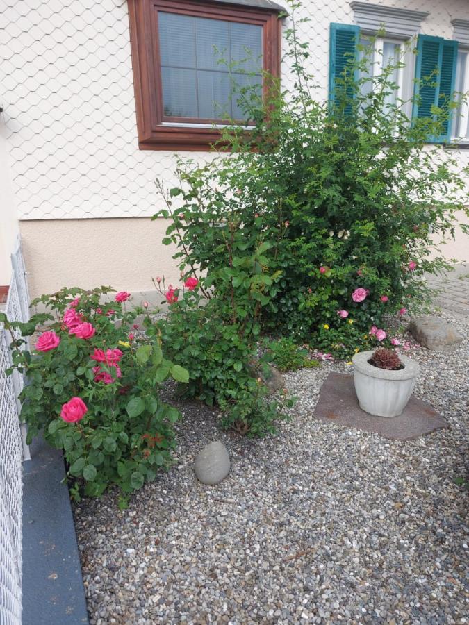 Ferienhaus Und Ferienappartements Brunner Höchst Eksteriør billede